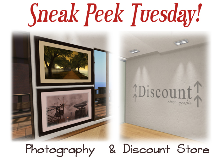 Photography gallery & Discount Store